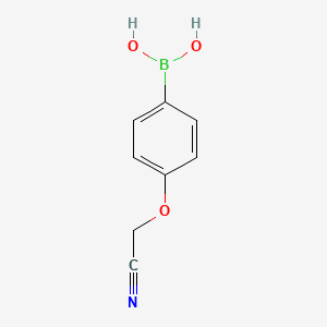 (4-(Cyanomethoxy)phenyl)boronic acid chemical structure (CAS 947533-23-5)
