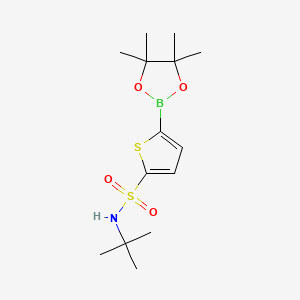 N-(tert-Butyl)-5-(4,4,5,5-tetramethyl-1,3,2-dioxaborolan-2-yl)thiophene-2-sulfonamide chemical structure (CAS 951233-59-3)