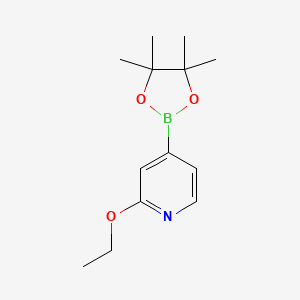 2-Ethoxy-4-(4,4,5,5-tetramethyl-1,3,2-dioxaborolan-2-yl)pyridine chemical structure (CAS 957346-47-3)
