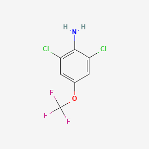 2,6-Dichloro-4-(trifluoromethoxy)aniline chemical structure (CAS 99479-66-0)