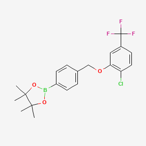 2-(4-((2-Chloro-5-(trifluoromethyl)phenoxy)methyl)phenyl)-4,4,5,5-tetramethyl-1,3,2-dioxaborolane chemical structure