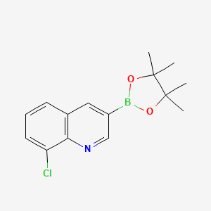 8-Chloro-3-(4,4,5,5-tetramethyl-1,3,2-dioxaborolan-2-yl)quinoline chemical structure