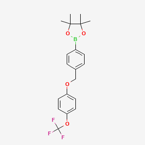 4,4,5,5-Tetramethyl-2-(4-((4-(trifluoromethoxy)phenoxy)methyl)phenyl)-1,3,2-dioxaborolane chemical structure