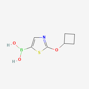 (2-Cyclobutoxythiazol-5-yl)boronic acid chemical structure